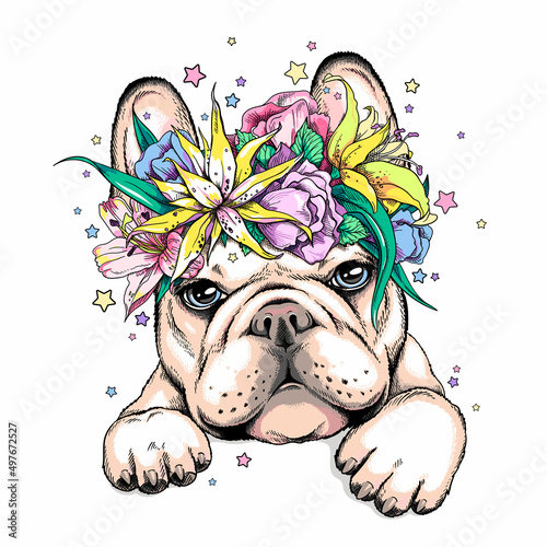 Cute french bulldog in floral wreath. Vector illustration in hand-drawn style. Image for printing on any surface	