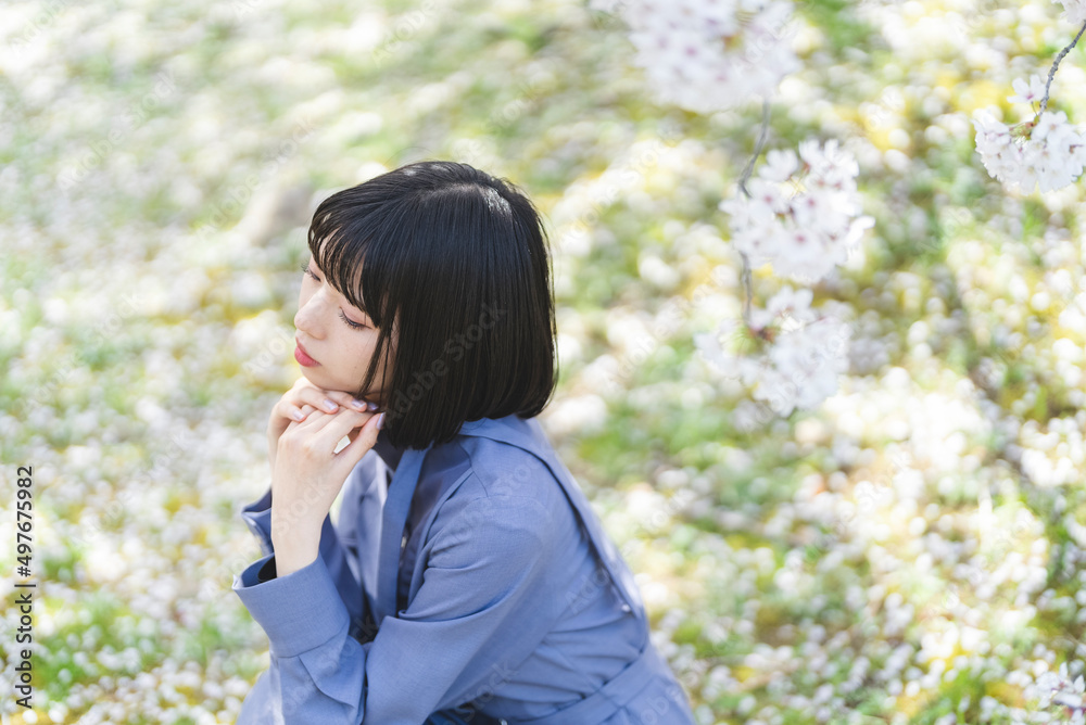 春の公園で満開の桜を見る女性 春の公園で満開の桜を見る女性