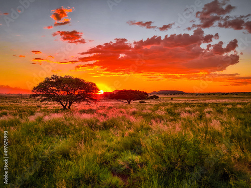 Sunset in Africa © Aneta