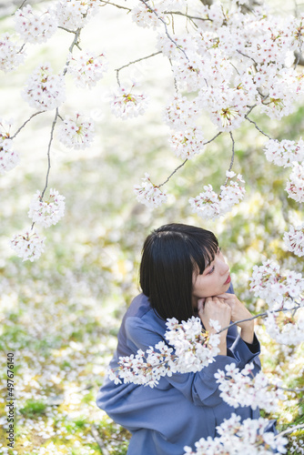 春の公園で満開の桜を見る女性