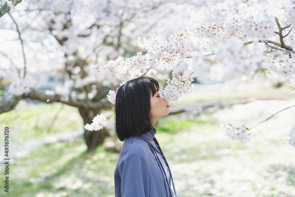 桜満開の中を散策する女性 桜満開の中を散策する女性