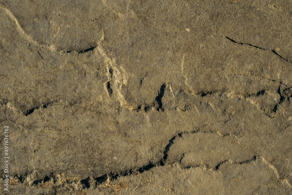 Rock or stone surface. Abstract design backdrop. Nature material. Warm color tone