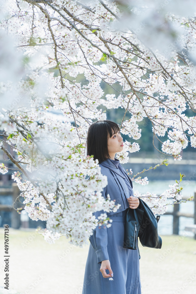 桜満開の中を散策する女性