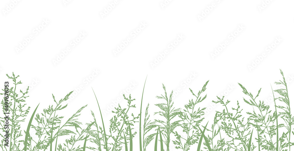 Grass border. Seamless pattern with hand drawn wild meadow grasses, silhouettes herbs and flowers. Vector  illustration on white background