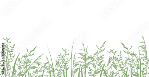 Grass border. Seamless pattern with hand drawn wild meadow grasses, silhouettes herbs and flowers. Vector illustration on white background