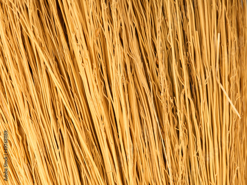 The texture of a large number of dried stems of a shrub folded together. Yellow natural color. Closeup