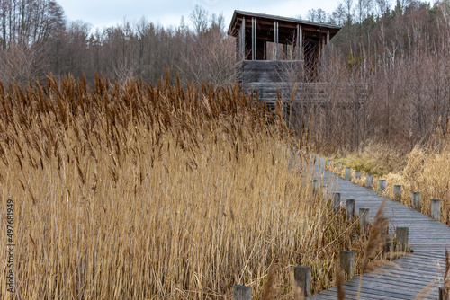 A wooden pier and an observation tower on a reed field in the national park. The photo was taken on a cloudy autumn day