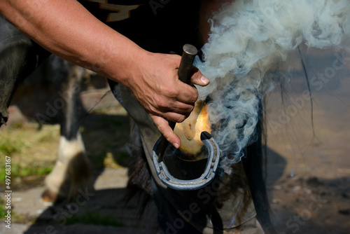 Farrier, horse in a hand