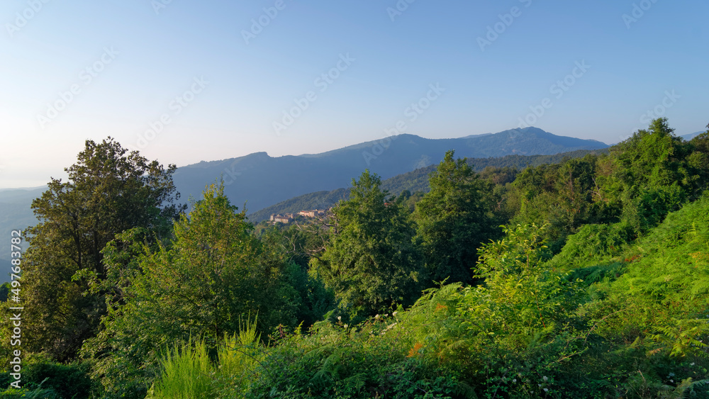 Penta-Di-Casinca village and Casinca forest in eastern coast of Corsica island Penta-Di-Casinca village and Casinca forest in eastern coast of Corsica island