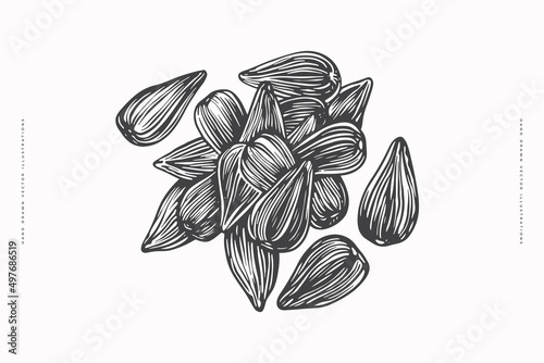 Hand-drawn sunflower seeds piled in a heap. Botanical vintage drawing in engraving style. Design element for the design of books, markets, packaging. Food concept. Previous illustration.