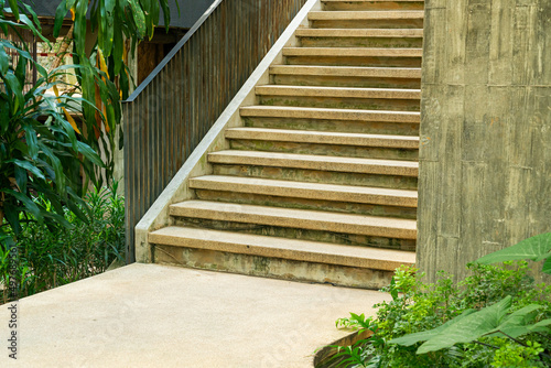 stair step with tropical tree