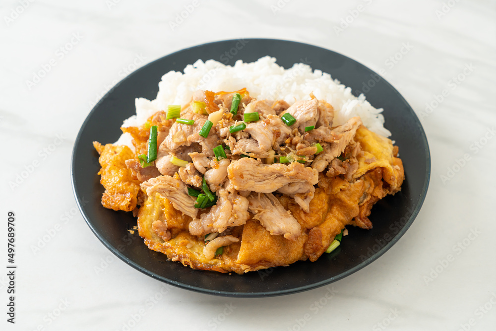 stir-fried pork with garlic and egg topped on rice stir-fried pork with garlic and egg topped on rice