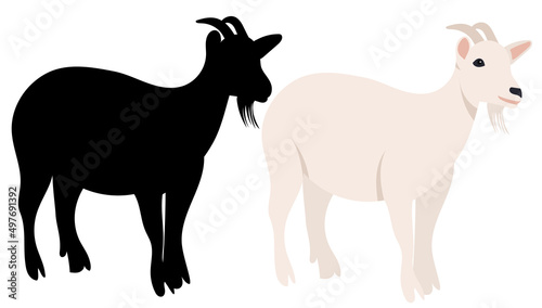 goat flat design  isolated  vector