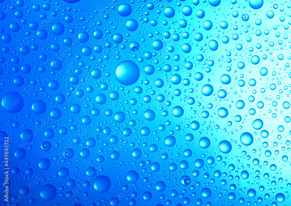  water drops over blue background.close up