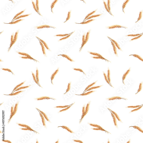 Wheat ears seamless pattern, hand drawn sketch background