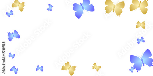 Fotografie, Obraz Tropical bright butterflies abstract vector wallpaper