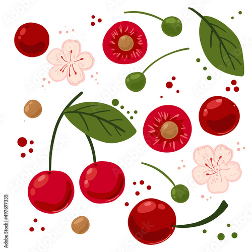 Collection of hand drawn cherries. Bundle of fresh delicious vegan diet vegetarian products, wholesome healthy food, cooking ingredients. Flat cartoon style on a white background. Vector illustration