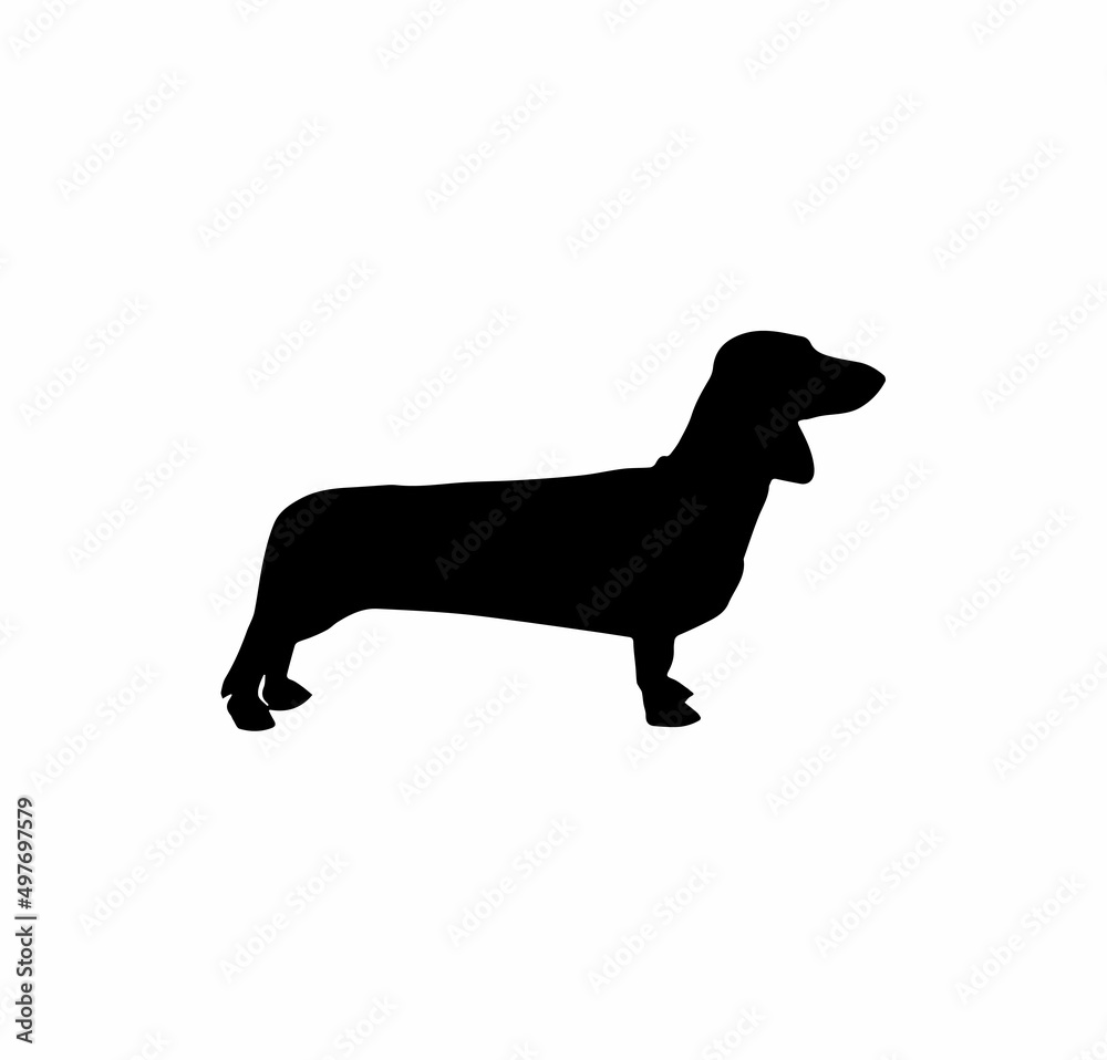 the silhouette of a dachshund. vector simple illustration