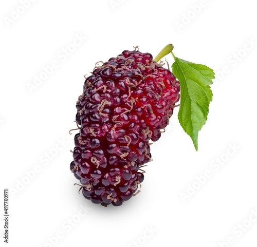 Fresh mulberry with leaves isolated on white background