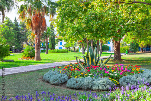 Fototapeta Naklejka Na Ścianę i Meble -  Ornamental garden with blossom flowers . Sidewalk in the tropical park 