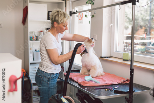 woman hair drying dog in her grooming studio