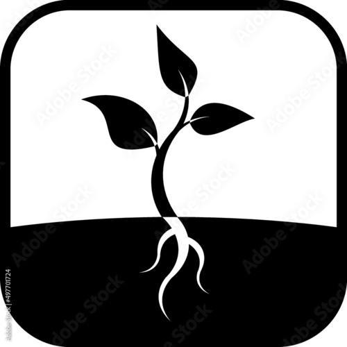Green plant in spring. Sprout with leaves and roots growing from soil vector icon