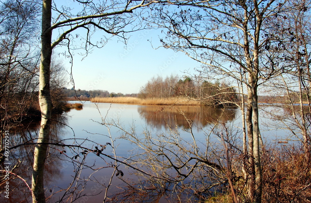 View between trees on a lake in nature reserve Wildenberg-Rabbinge in De Wolden, Drenthe, , a sparsely populated rural province, located in the northeastern part of the Netherlands