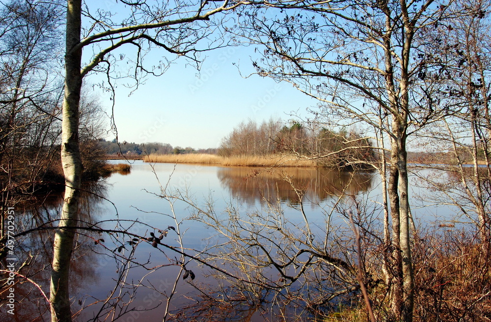 View between trees on a lake in nature reserve Wildenberg-Rabbinge in De Wolden, Drenthe, , a sparsely populated rural province, located in the northeastern part of the Netherlands View between trees on a lake in nature reserve Wildenberg-Rabbinge in De Wolden, Drenthe, , a sparsely populated rural province, located in the northeastern part of the Netherlands