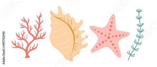 Seshell coral vector, simple color, flat design