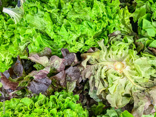 salad lettuce mix green petals leaves fruits on the counter of the market store healthy meal food diet snack copy space food background rustic top view keto or paleo diet veggie vegan or vegeta