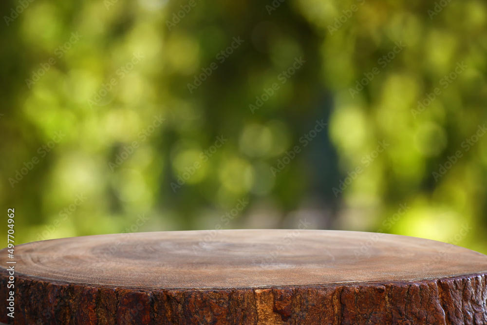 Empty rustic table in front of countryside background. product display and picnic concept