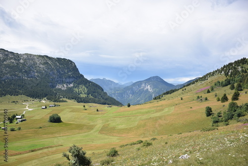 Plaines de montagne