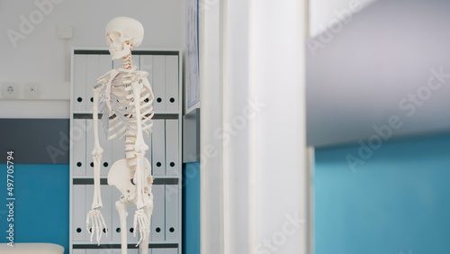 Human skeleton with bones and spinal cord in osteopathy office, to explain orthopedic pain and anatomy structure. Empty cabinet to treat mechanical disorders and increase mobility. Close up. © DC Studio