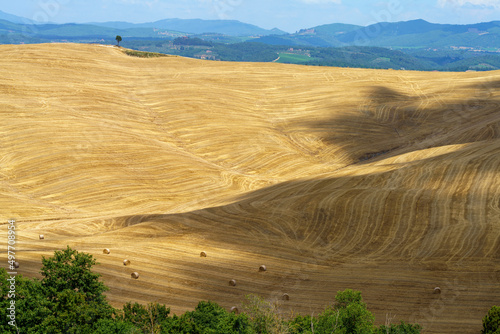 Rural landscape in Val d Orcia, Tuscany, Italy