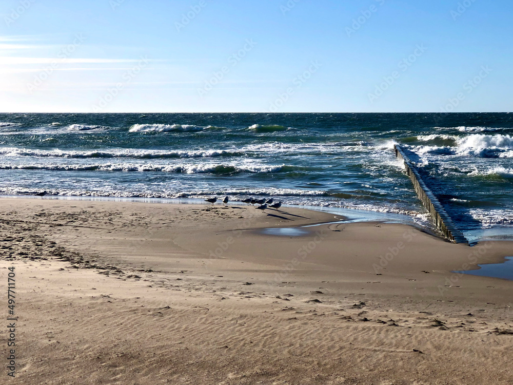 Fototapeta premium beach and sea