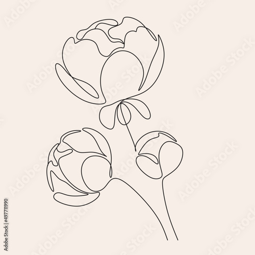 Line Art flowers plants. Botanical poster. Contemporary one-line art, aesthetic contour. Ideal for home decor, wall art posters or t-shirt printing, mobile case. Continuous drawing o