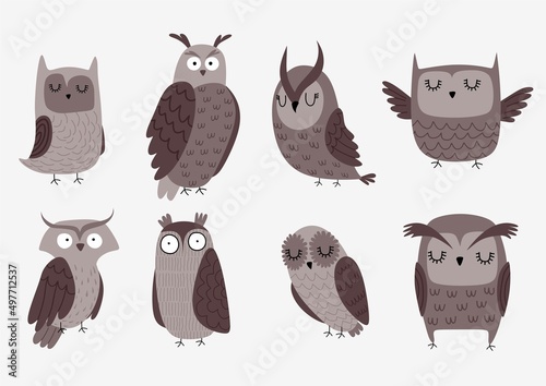 Vector set of different owls