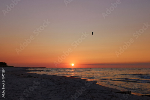 Obraz na płótnie Sonnenuntergang an der Ostseeküste bei Zingst, Fischland-Darß, Mecklenburg-Vorpommern, Deutschland w salonie