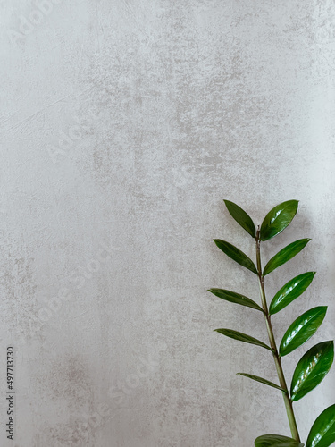 Gray wall, close-up wall texture