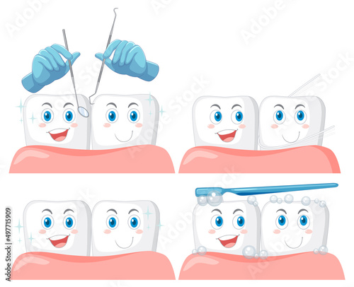 Set of all types of teeth on white background