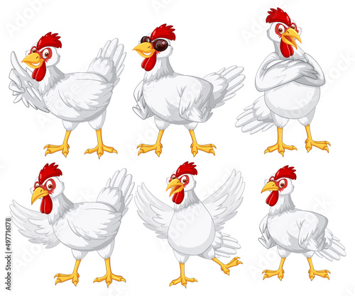 Set of different farm chickens in cartoon style