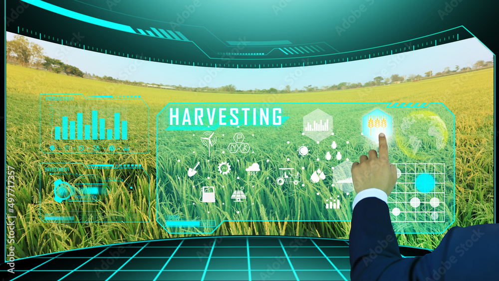Farmers harvest their crops using smart farm technology and display the screen of the rice ready