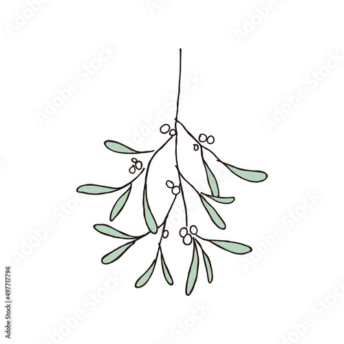 Mistletoe, hand-drawn vector illustration