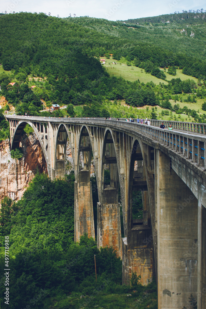 bridge over the river