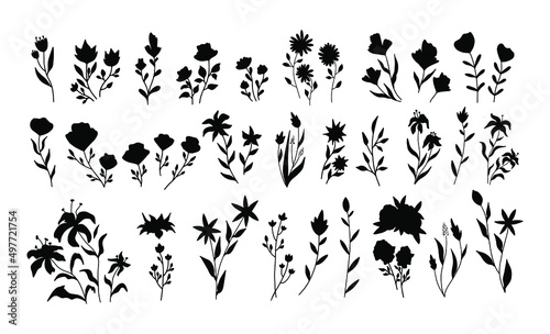 Set of vector vintage floral elements. Cute set of doodle frames and borders. Elements flowers, branches, swashes and flourishes