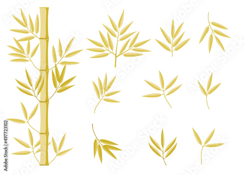 Fresh bamboo leaves trunks and branches, botanical zen forest, tropical elements. Yellow bamboo