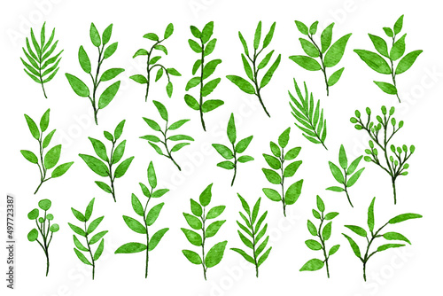 Set of separate parts and bring together to beautiful bouquet of leaf