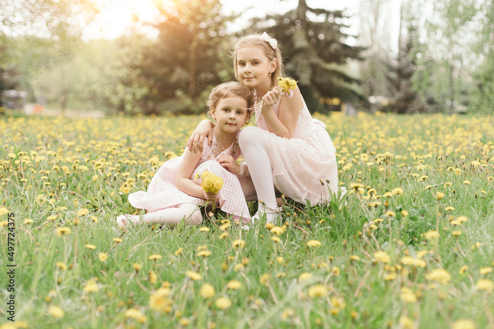two little sisters with bouquets of dandelions sitting in a meadow. two little sisters with bouquets of dandelions sitting in a meadow.