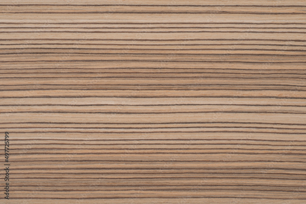 Zebrano 6 Exotic wood panel texture pattern Zebrano 6 Exotic wood panel texture pattern