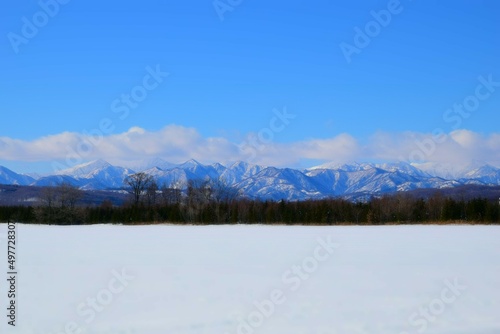 Fototapeta Naklejka Na Ścianę i Meble -  山と青空と平原、そして雪